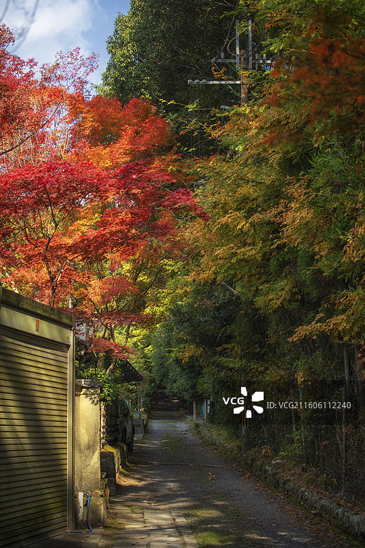 日本京都赤山禅院的秋季风光图片素材