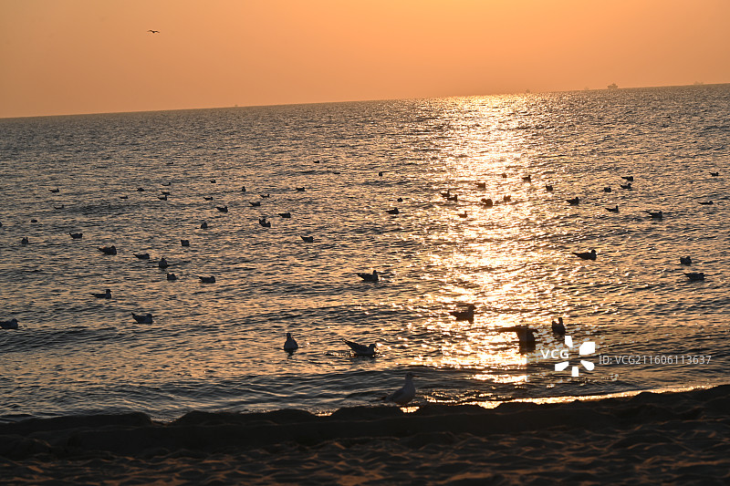 秦皇岛昌黎县阿那亚黄金海岸日出时分图片素材