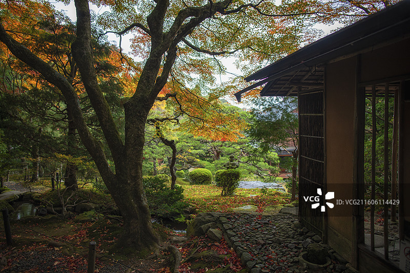 日本滋贺县旧竹林院的秋季风光图片素材