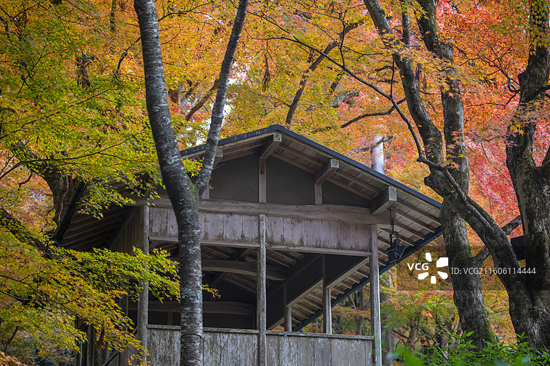 日本京都大原三千院的秋季风光图片素材