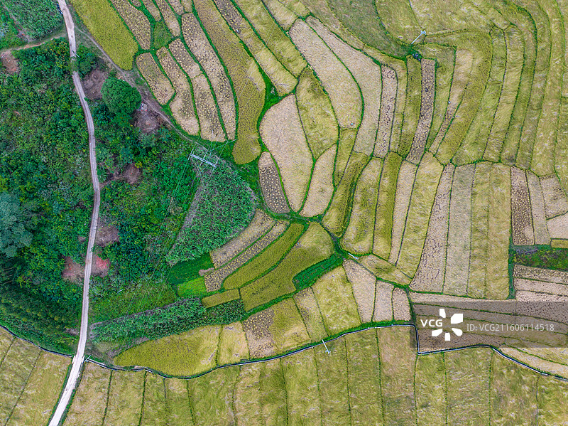 广西防城港市上思县在妙镇佛子村田园风光图片素材