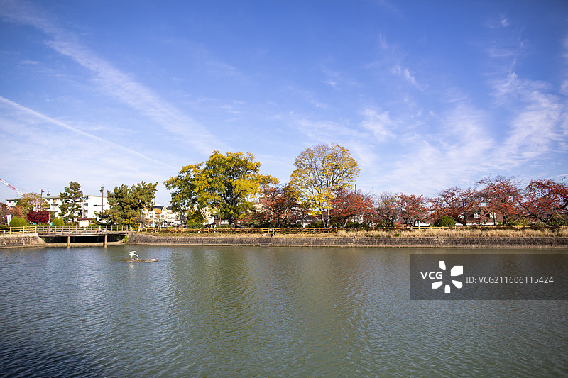 日本京都长冈天满宫的秋季风光图片素材