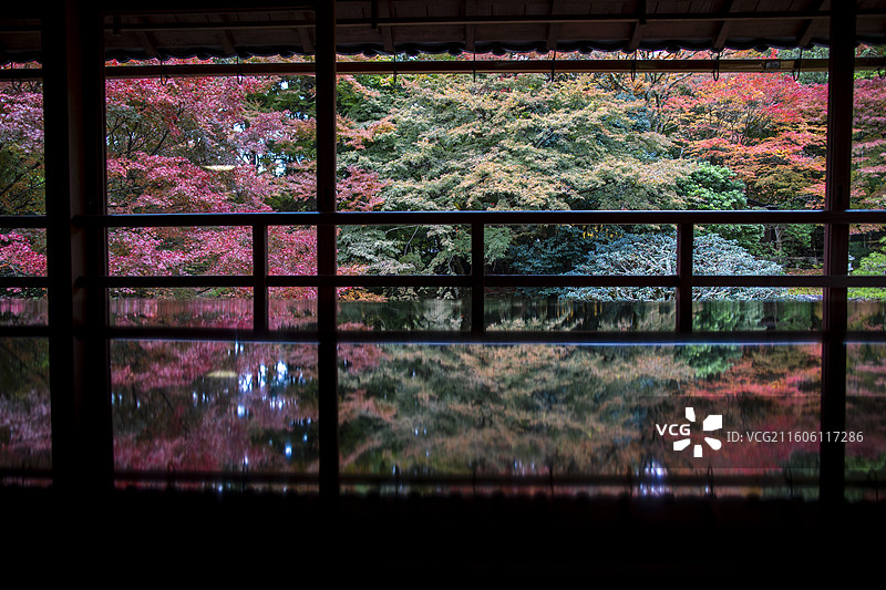 日本滋贺县旧竹林院的秋季风光图片素材