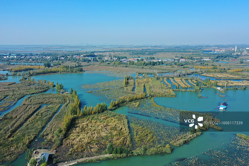 初冬色彩愈斑斓，银杏枫林绘锦笺 鸿雁排云书碧落，轻舟剪雾赛神仙 科幻新城萦瑞气，明珠古淀耀华年图片素材