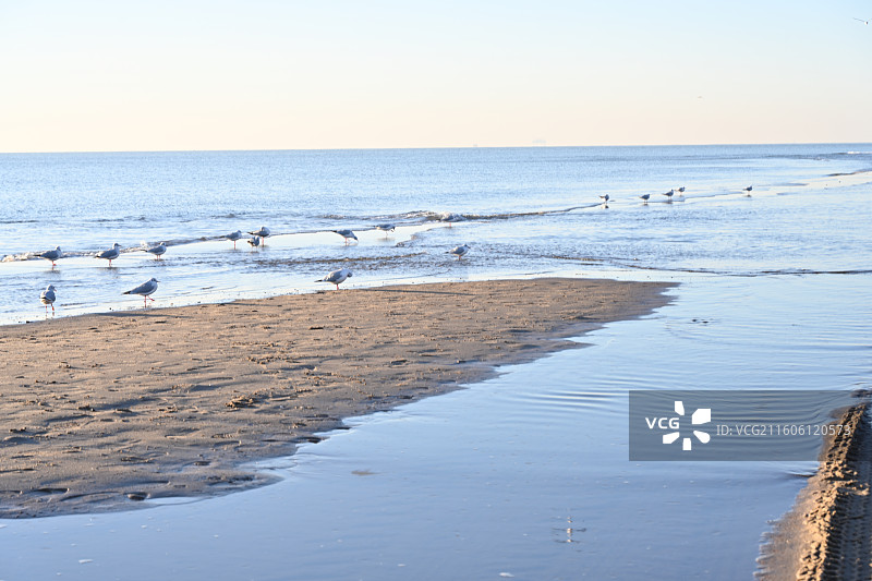 秦皇岛昌黎县阿那亚黄金海岸日出时分图片素材