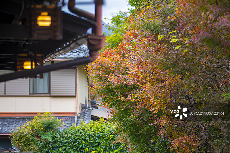 日本京都大原三千院的秋季风光图片素材