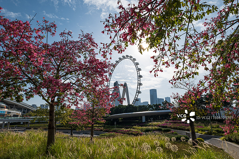 摩天轮与花低角度俯视图图片素材