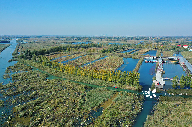 初冬色彩愈斑斓，银杏枫林绘锦笺 鸿雁排云书碧落，轻舟剪雾赛神仙 科幻新城萦瑞气，明珠古淀耀华年图片素材