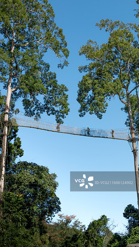 森林走廊图片素材