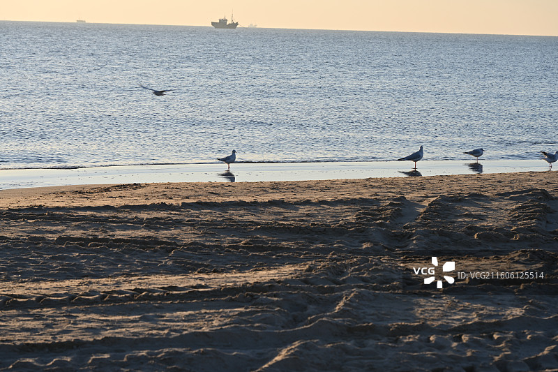 秦皇岛昌黎县阿那亚黄金海岸日出时分图片素材