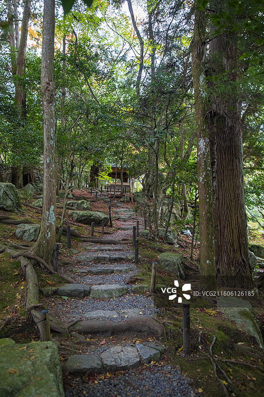 日本滋贺县旧竹林院的秋季风光图片素材