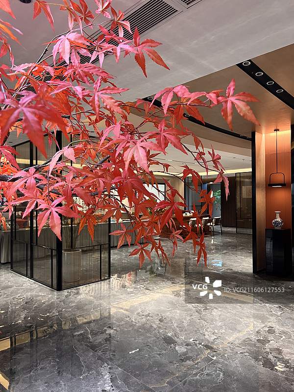 生日宴正宗鲁菜图片素材