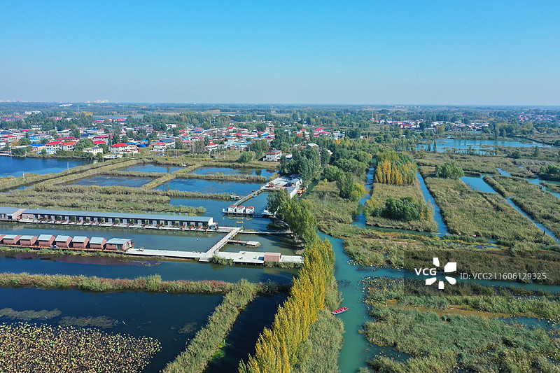 初冬色彩愈斑斓，银杏枫林绘锦笺 鸿雁排云书碧落，轻舟剪雾赛神仙 科幻新城萦瑞气，明珠古淀耀华年图片素材