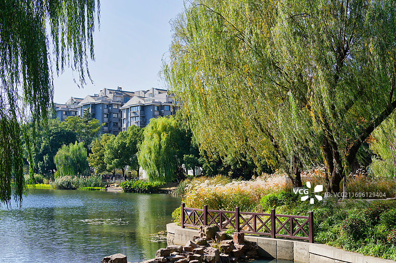 深秋的南京乌龙潭公园图片素材