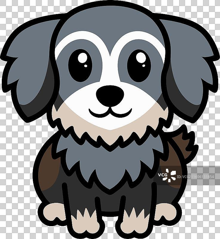 可爱的腊肠贵宾犬图片素材