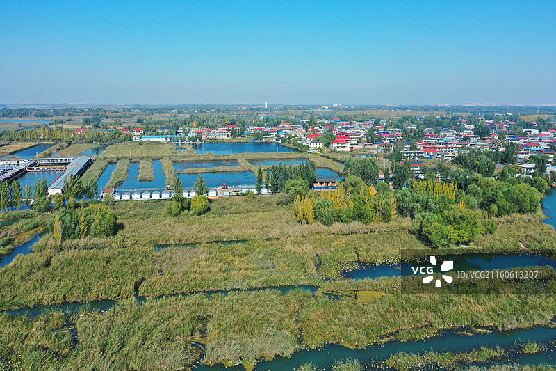 初冬色彩愈斑斓，银杏枫林绘锦笺 鸿雁排云书碧落，轻舟剪雾赛神仙 科幻新城萦瑞气，明珠古淀耀华年图片素材