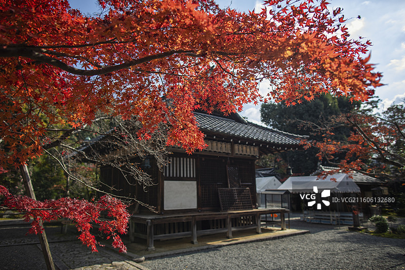 日本京都赤山禅院的秋季风光图片素材