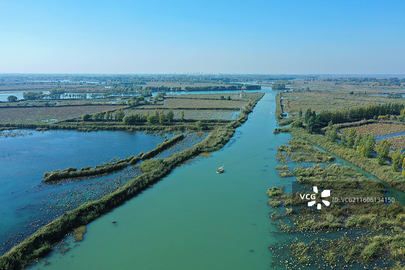 初冬色彩愈斑斓，银杏枫林绘锦笺 鸿雁排云书碧落，轻舟剪雾赛神仙 科幻新城萦瑞气，明珠古淀耀华年图片素材