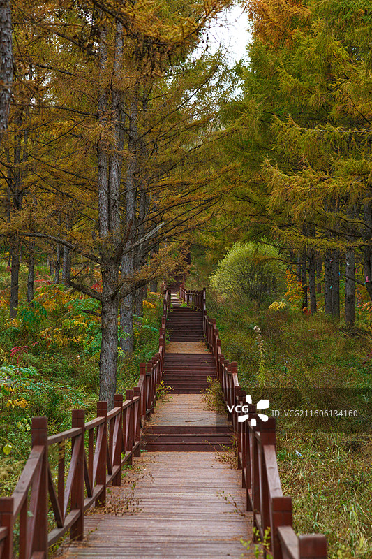 长白山漫临线路遇不知名景点图片素材