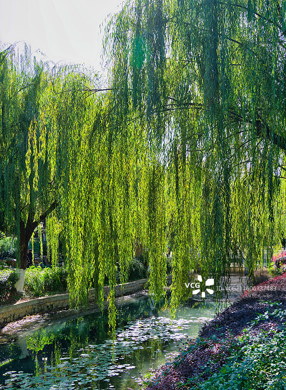 深秋的南京乌龙潭公园图片素材