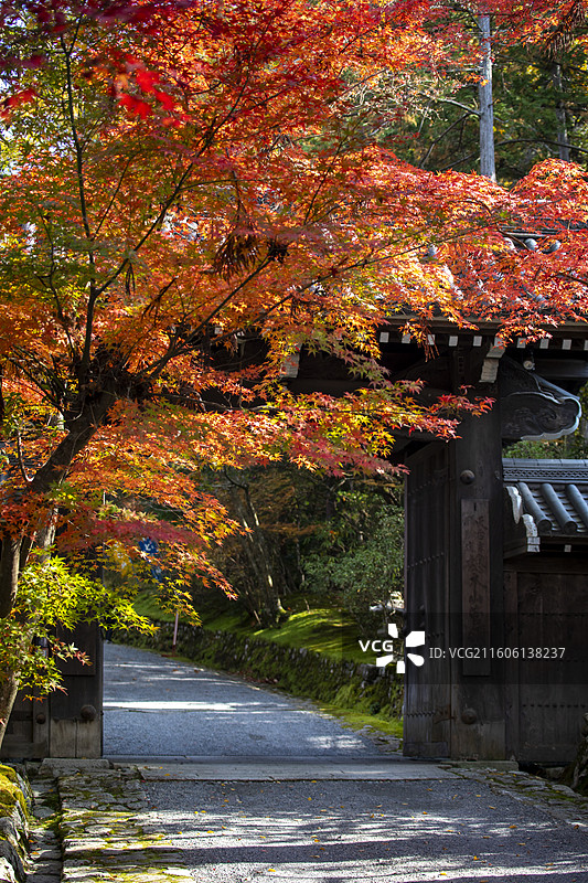 日本京都赤山禅院的秋季风光图片素材