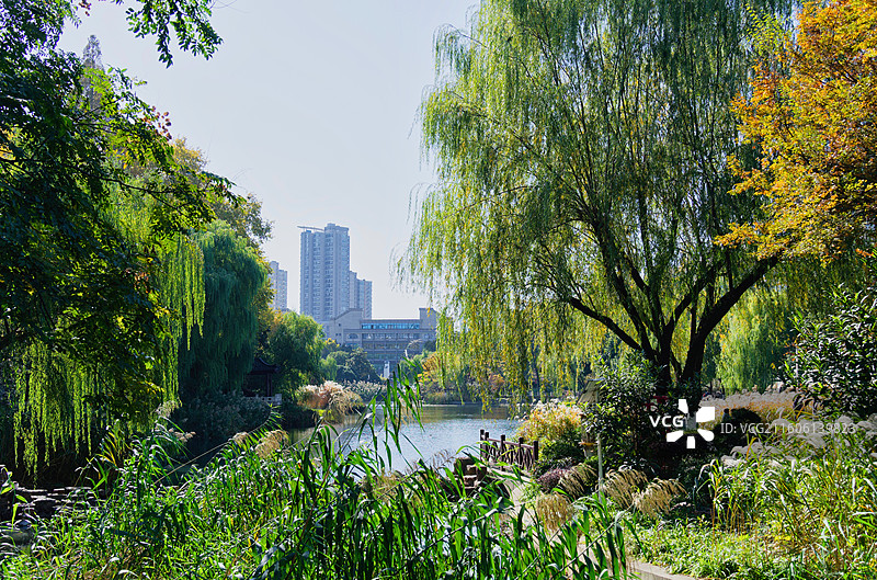 深秋的南京乌龙潭公园图片素材