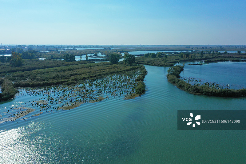 初冬色彩愈斑斓，银杏枫林绘锦笺 鸿雁排云书碧落，轻舟剪雾赛神仙 科幻新城萦瑞气，明珠古淀耀华年图片素材