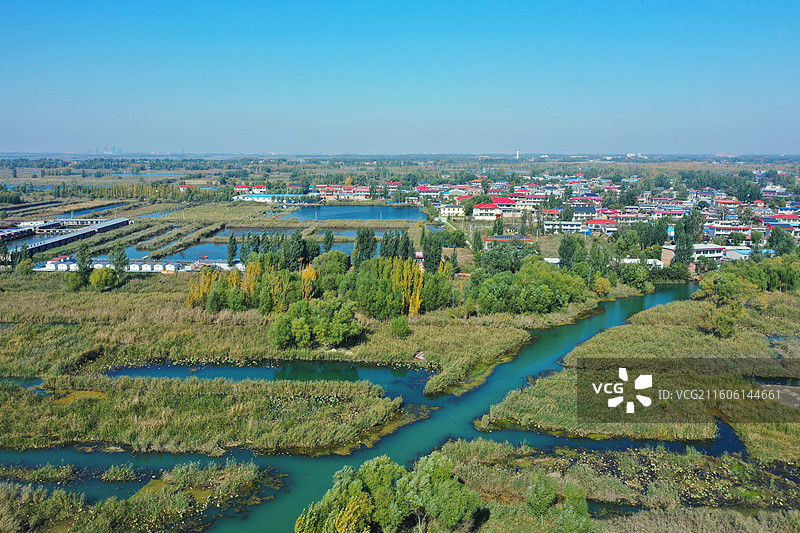 初冬色彩愈斑斓，银杏枫林绘锦笺 鸿雁排云书碧落，轻舟剪雾赛神仙 科幻新城萦瑞气，明珠古淀耀华年图片素材
