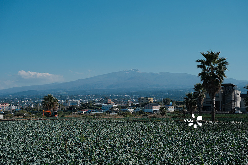 济州岛风光图片素材