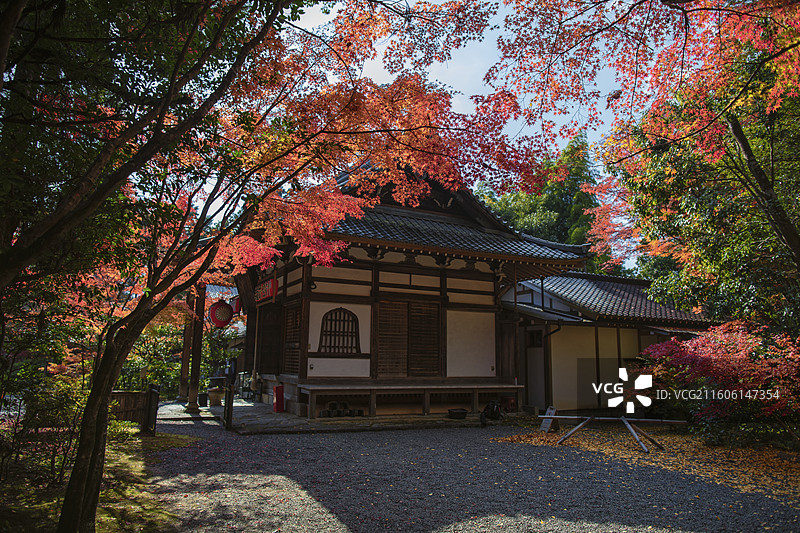 日本京都赤山禅院的秋季风光图片素材