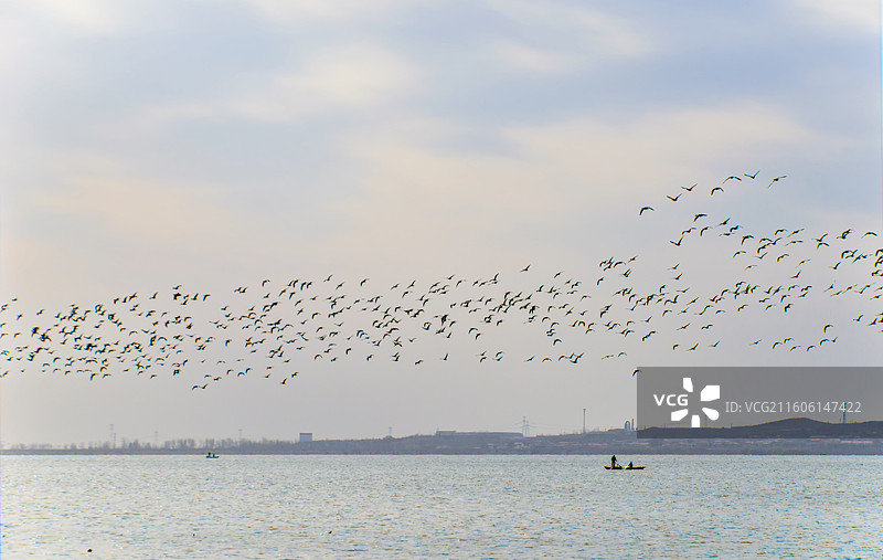 溢泉湖日出大雁飞图片素材
