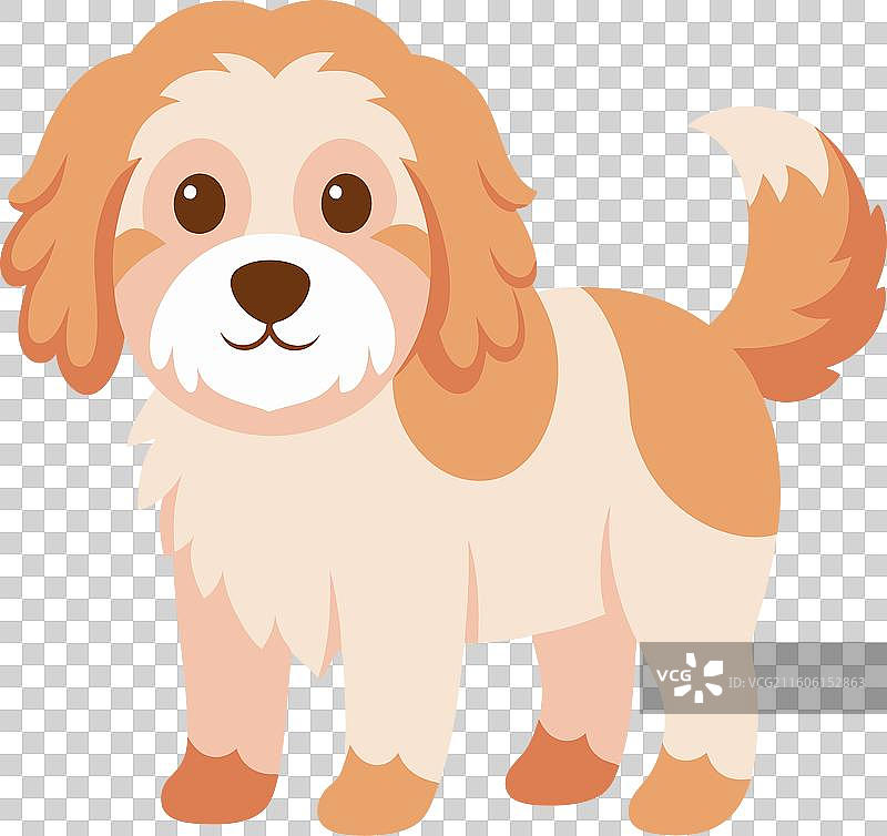 一只正在阅读的卡哇伊风格的卷尾鸟图片素材