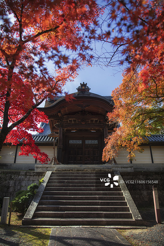 日本京都光明寺的秋季风光图片素材