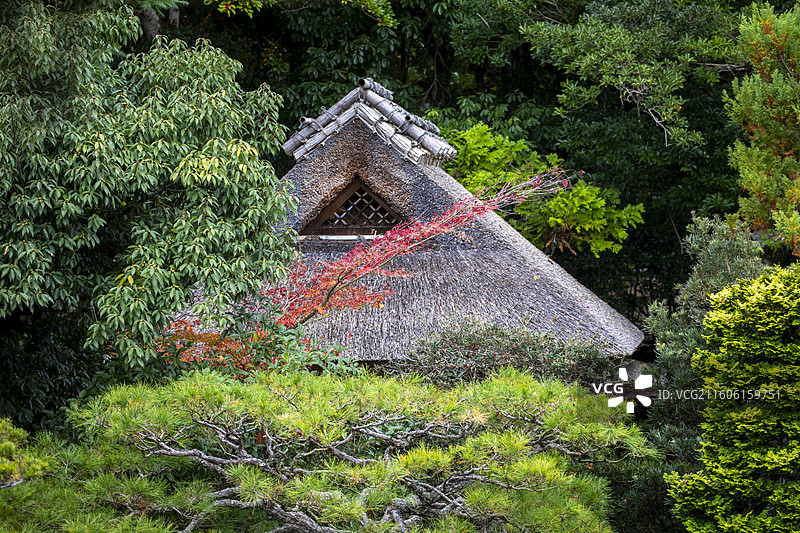 日本滋贺县旧竹林院的秋季风光图片素材
