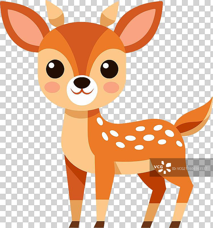 可爱的跳羚鹿在微笑图片素材