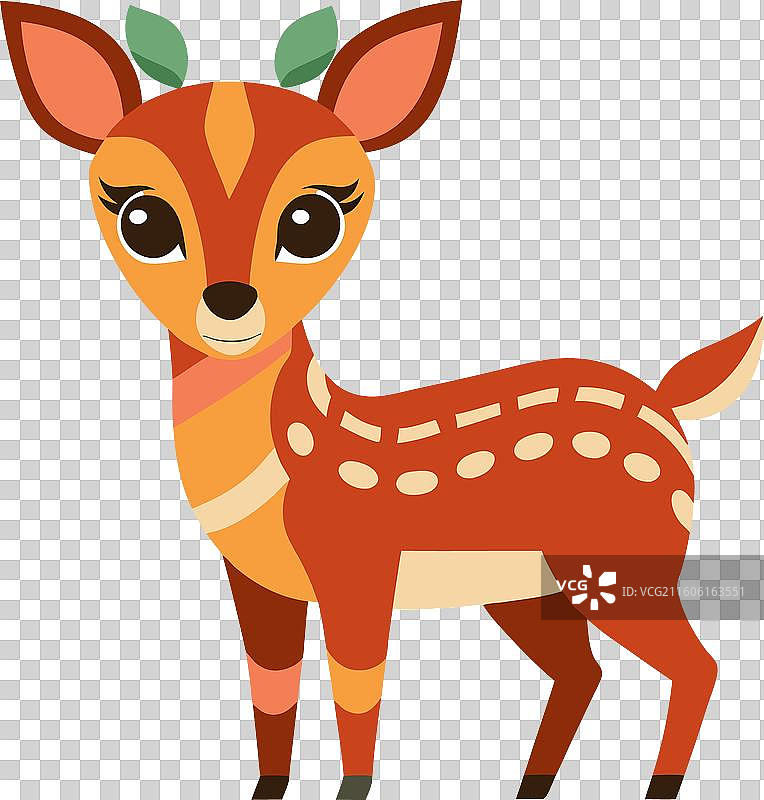 可爱的麂羚图片素材