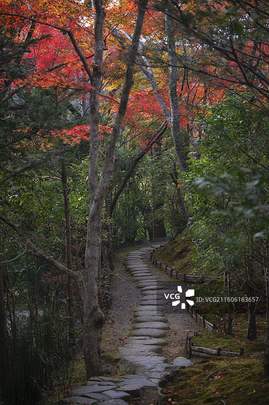 日本京都大原宝泉院的秋季风光图片素材