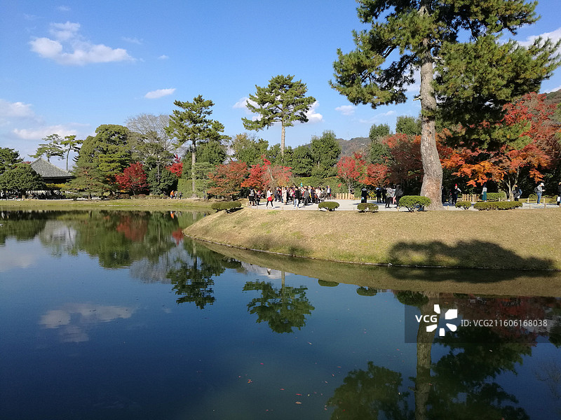 日本宇治明治天皇行幸所平等院秋天小叶红枫建筑构件图片素材