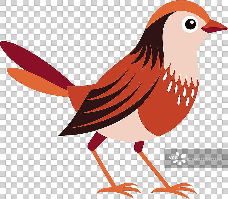 卡哇伊风格的鹪鹩在行走图片素材