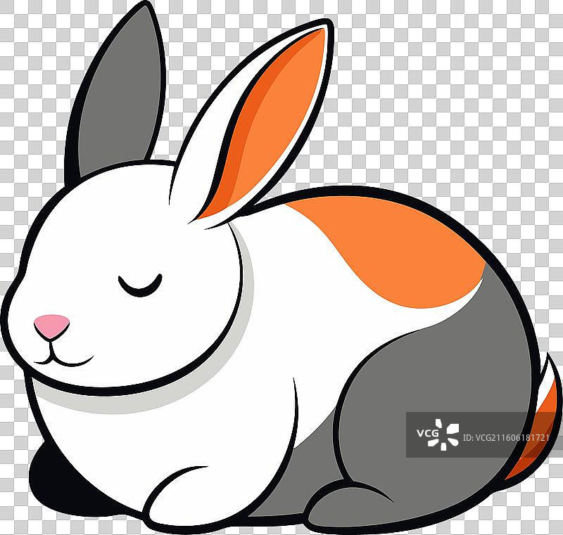 可爱的荷兰垂耳兔在睡觉图片素材