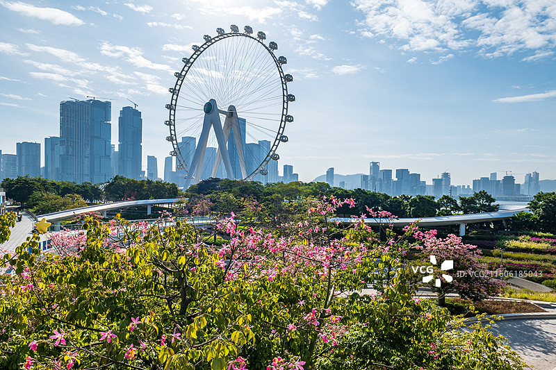 摩天轮与花低角度俯视图图片素材