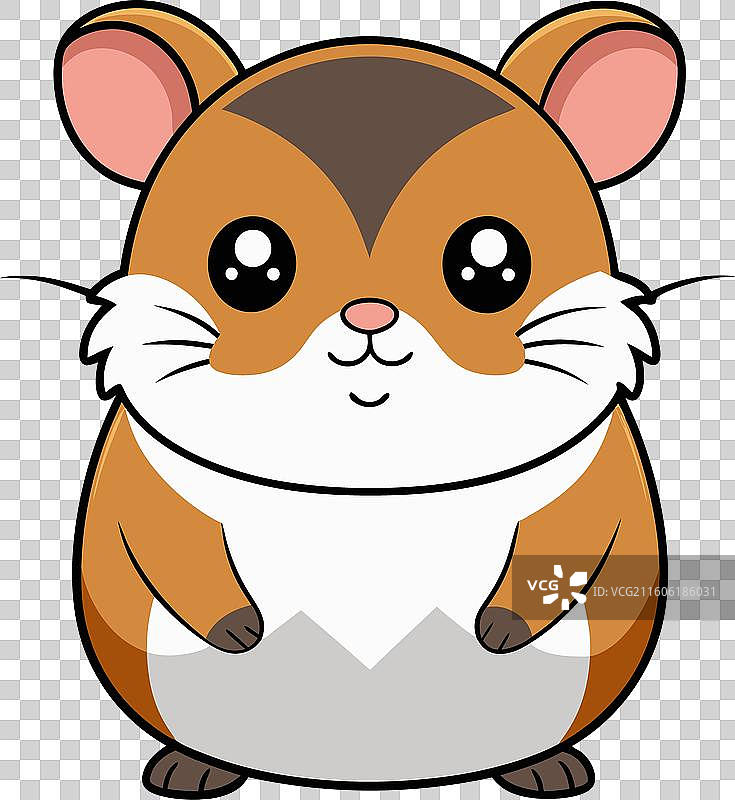 矮人仓鼠，可爱的小啮齿动物图片素材