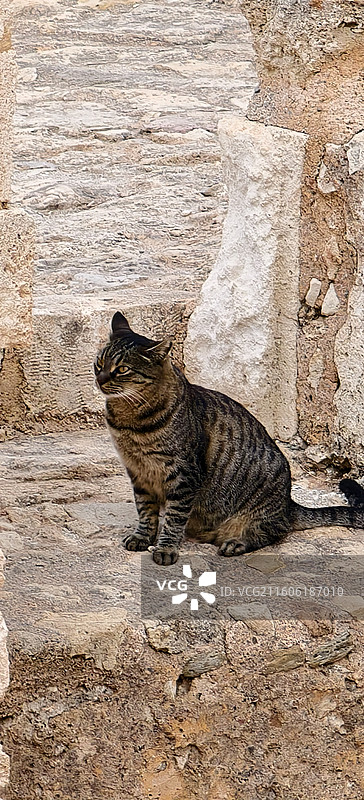 希腊克里特岛～雷西姆农城堡图片素材