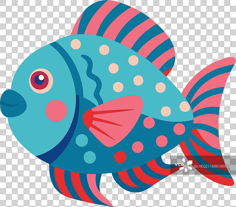 可爱的鹰鳐鱼图片素材