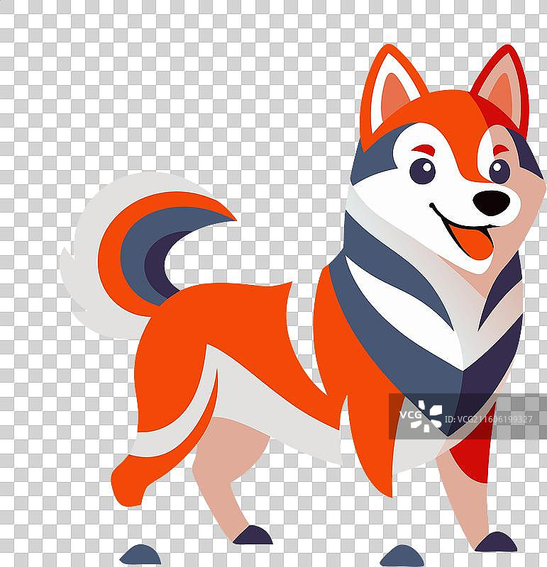 东西伯利亚莱卡犬玩耍可爱图片素材