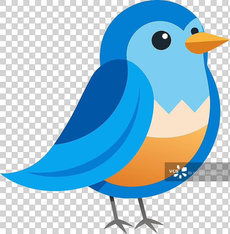 东方蓝知更鸟 萌图片素材