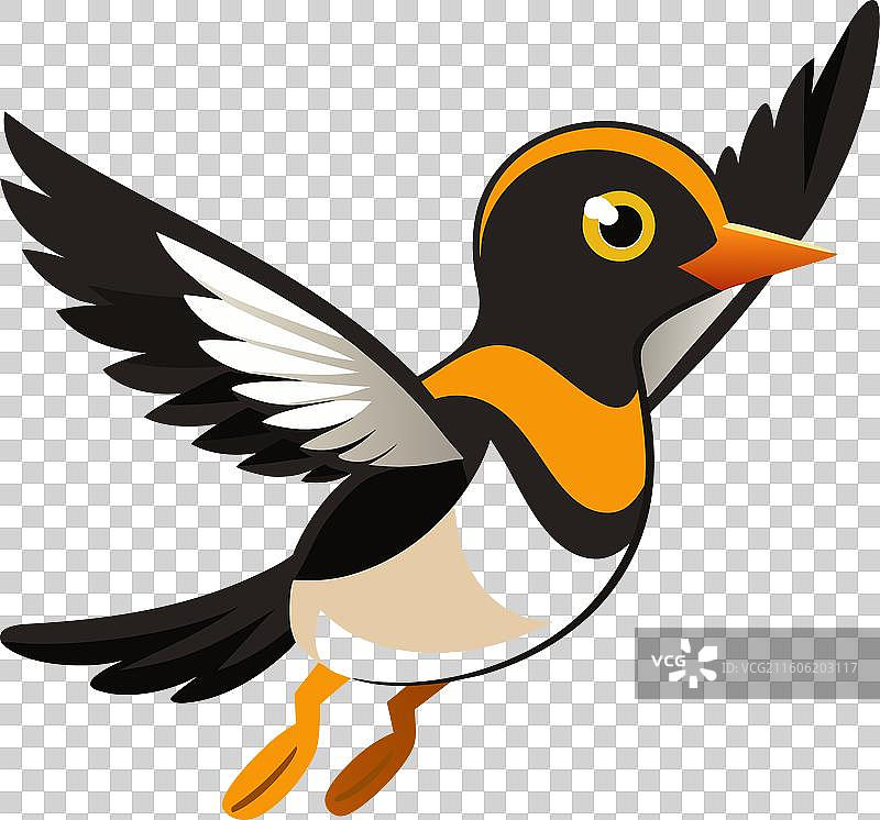 一只东方蓝知更鸟在阅读，卡通可爱风格图片素材