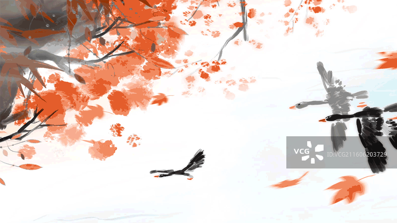 大雁 鸿雁 秋 秋分 霜降图片素材