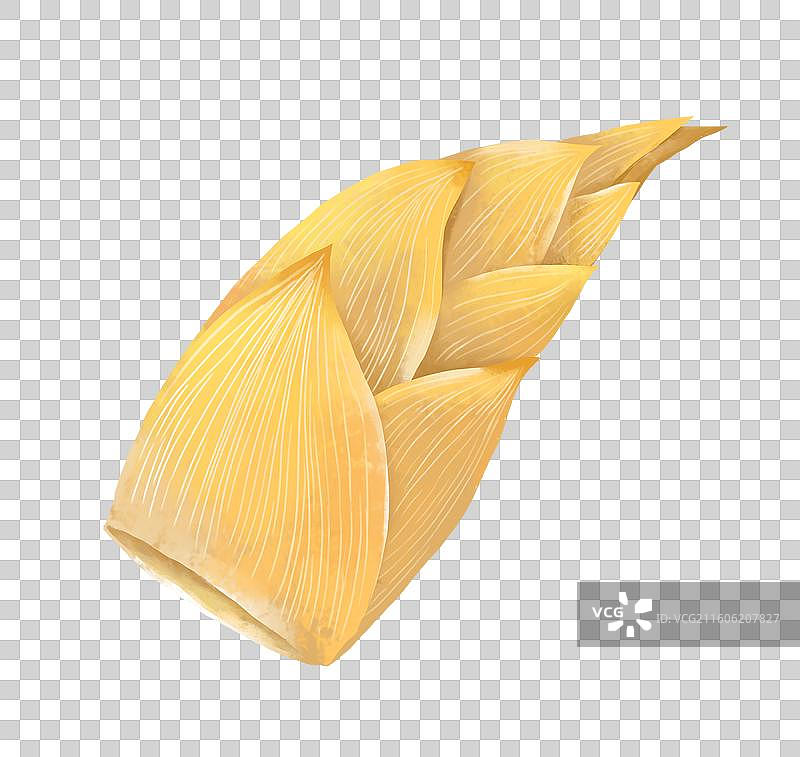 中国传统美食竹笋笋尖食材插画元素图片素材