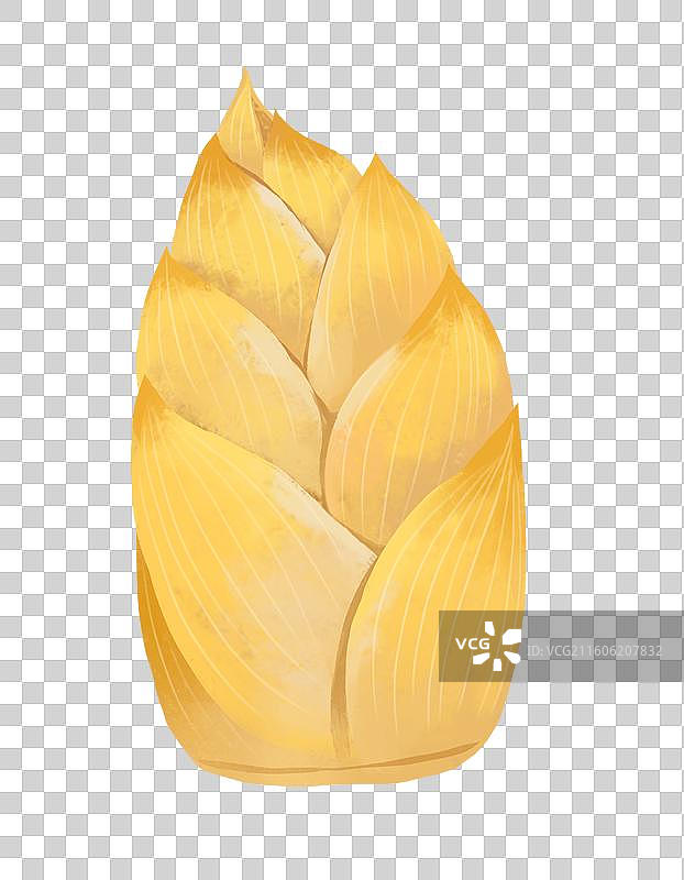 中国传统美食竹笋笋尖食材插画元素图片素材